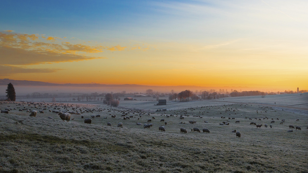 Monatsbilder August 2019